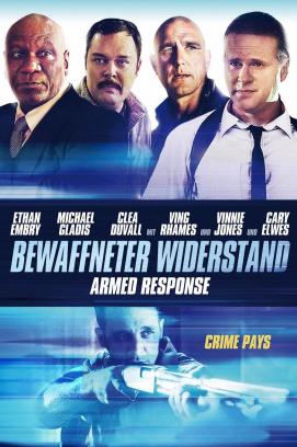 Bewaffneter Widerstand (2014)